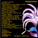 Tribnew 066 | Afro Carnival