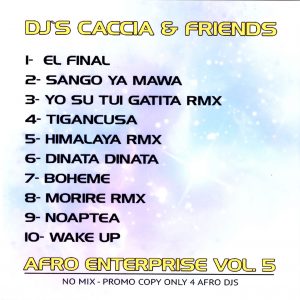 Afro Enterprise Vol. 5 | NO MIX CD